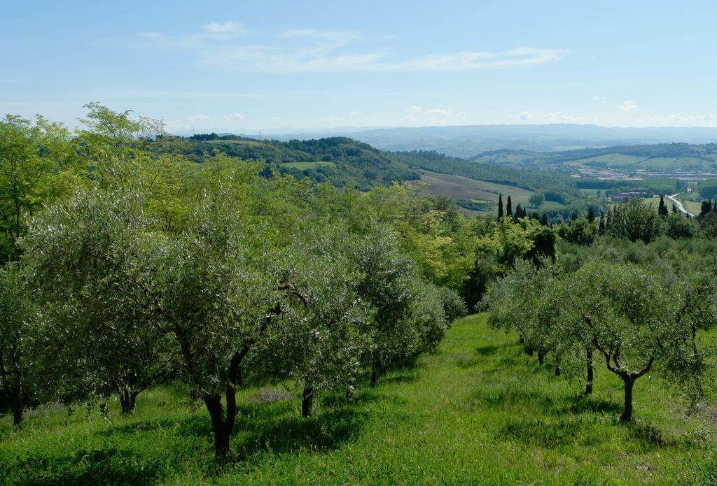 Il Borghetto Tuscan Holidays San Gimignano Eksteriør billede